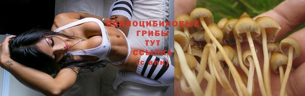 mix Алексин