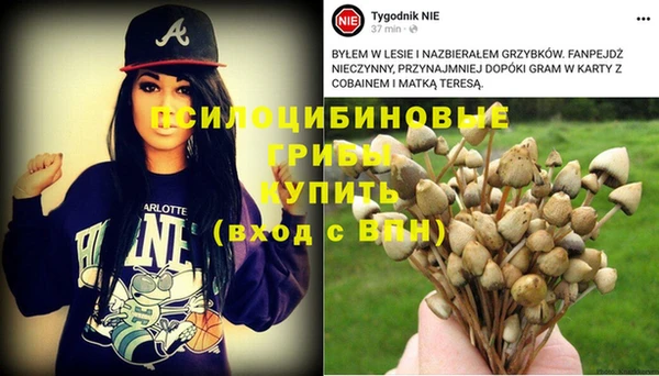 гидра Алзамай