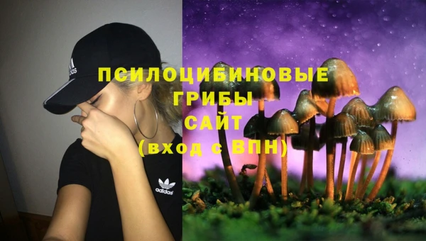 гидра Алзамай
