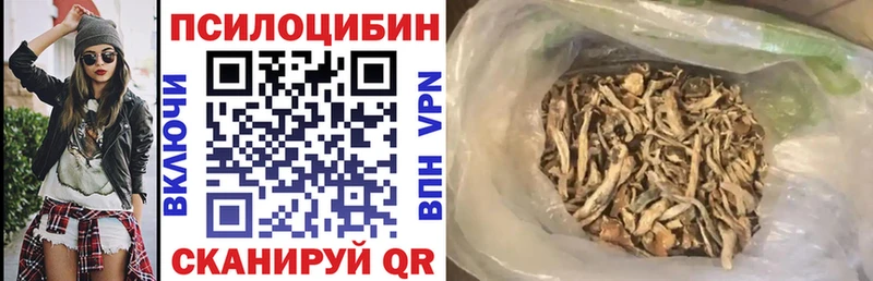 Купить закладки  Чекалин  Псилоцибиновые грибы прущие грибы 